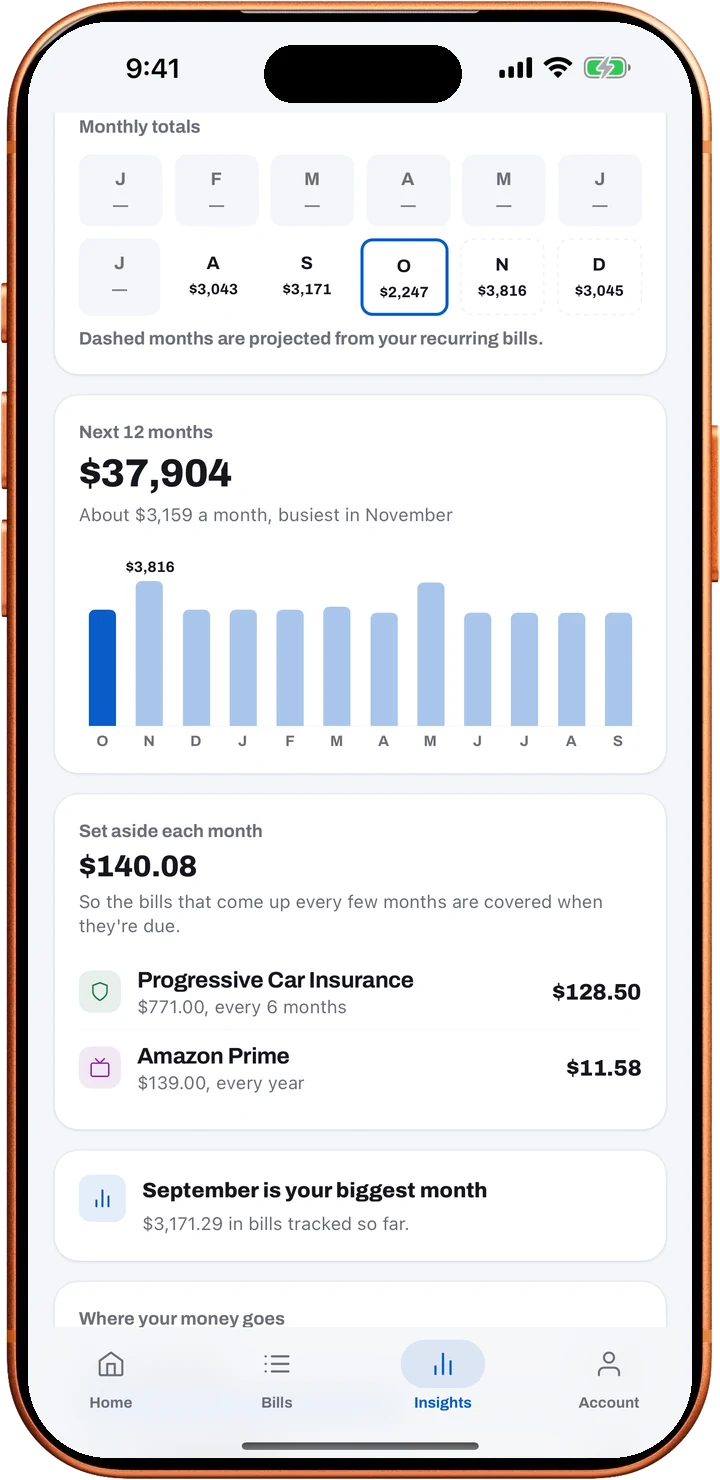 Loulen's Insights with monthly totals, a 12-month forecast and what to set aside each month